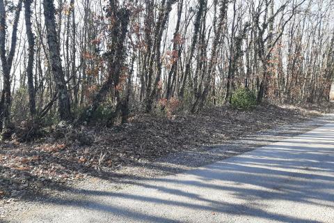 Istra, Svetvinčenat, građevinsko zemljište