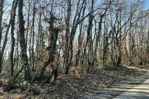 Istra, Svetvinčenat, građevinsko zemljište