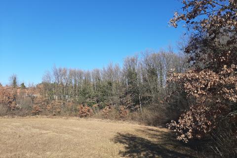 Istra, Svetvinčenat, građevinsko zemljište