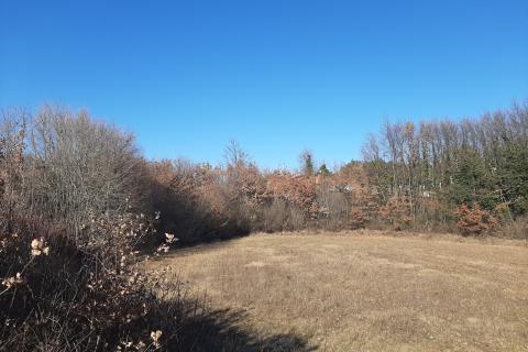 Istra, Svetvinčenat, građevinsko zemljište