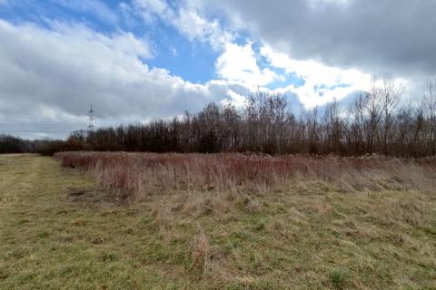 Brezje, Sveta Nedelja, 4.790m2