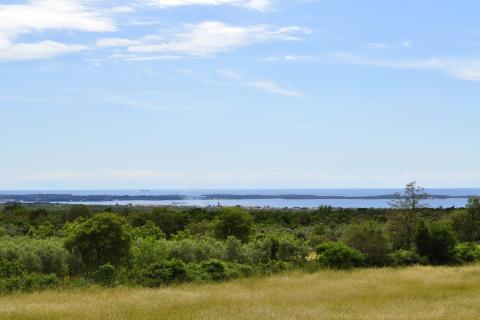 Istra, okolica Fažane Vodnjan, autohtona istarska stancija sa pogledom na more