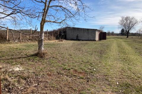 Višnjan, poljoprivredno zemljište