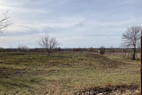 Višnjan, poljoprivredno zemljište