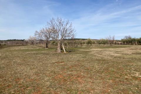 Višnjan, poljoprivredno zemljište