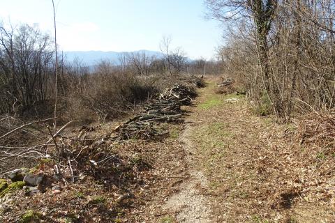 Земельный участок строительного назначения Viškovo, 1.117m2