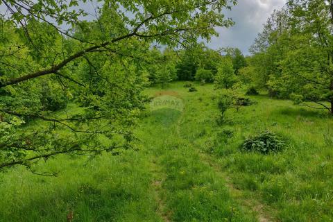 Terreno edificabile Klana, 2.419m2