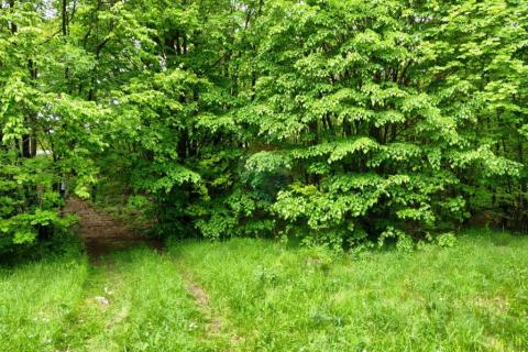 Terreno edificabile Klana, 3.091m2