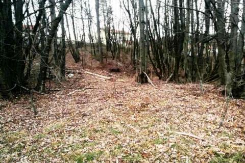 Terreno edificabile Klana, 3.091m2