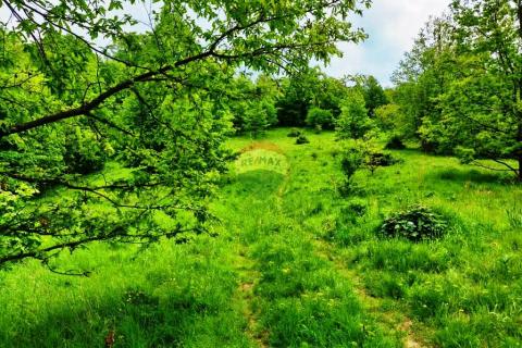 Terreno edificabile Klana, 5.510m2