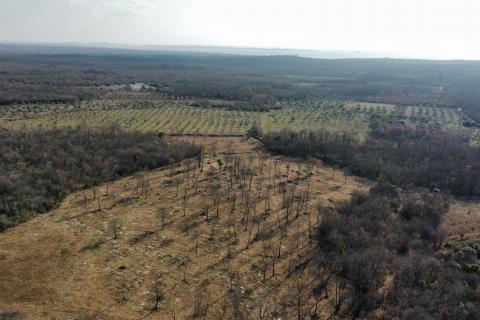 BALE - Prelijepo poljoprivredno zemljište 22821m2 