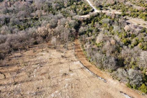 BALE - Prelijepo poljoprivredno zemljište 22821m2 