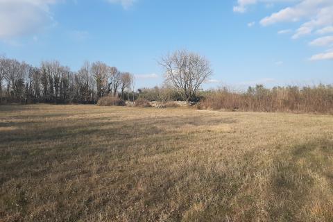 Istra, Kringa građevinsko zemljište