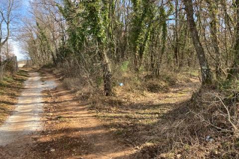 Žbandaj, okolica, šuma 20000 m2