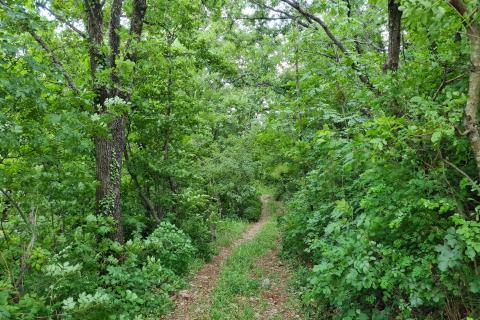 Brseč-zemljište uz more s pogledom na Cres