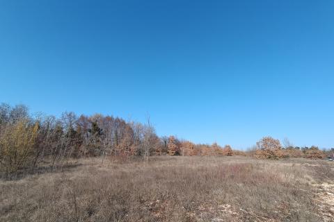 Istra, Svetvinčenat - građevinsko zemljište, ugostiteljsko turističke namjene