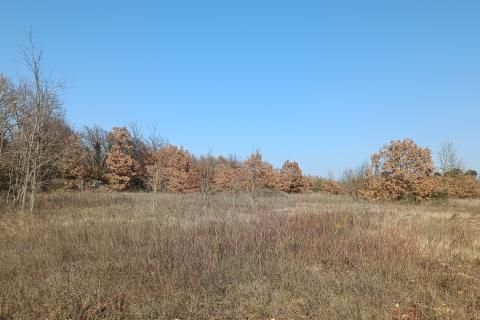 Istra, Svetvinčenat - građevinsko zemljište, ugostiteljsko turističke namjene