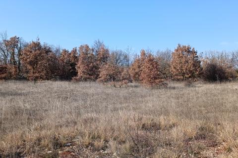 Istra, Svetvinčenat - građevinsko zemljište, ugostiteljsko turističke namjene