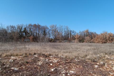 Istra, Svetvinčenat - građevinsko zemljište, ugostiteljsko turističke namjene