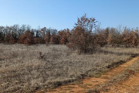 Istra, Svetvinčenat - građevinsko zemljište, ugostiteljsko turističke namjene