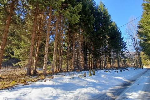 Jasenak, Ogulin, 1.507m2