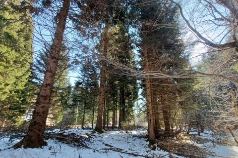 Jasenak, Ogulin, 1.507m2