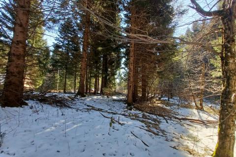 Jasenak, Ogulin, 1.507m2