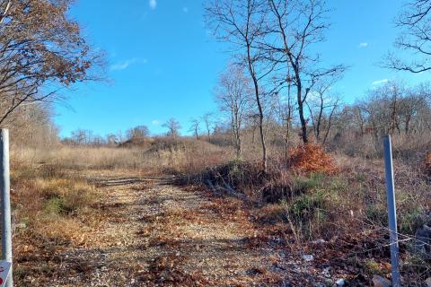 Istra, Rovinj, poljoprivredno zemljište 1400m2