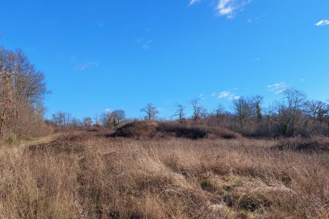 Istra, Rovinj, poljoprivredno zemljište 1400m2