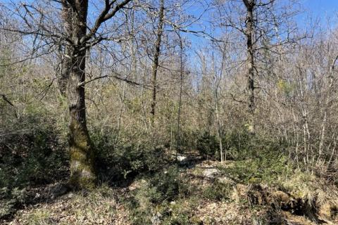 Veprinac, Opatija - Okolica, 3.978m2