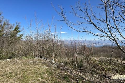 Veprinac, Opatija - Okolica, 3.978m2