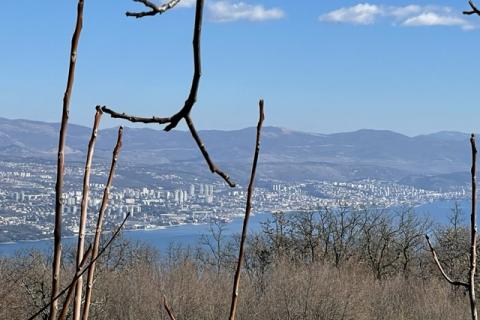 Veprinac, Opatija - Okolica, 3.978m2