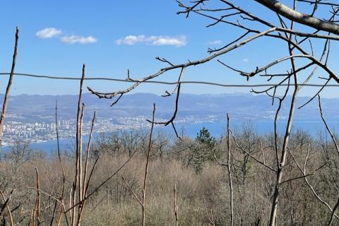 Veprinac, Opatija - Okolica, 12.075m2