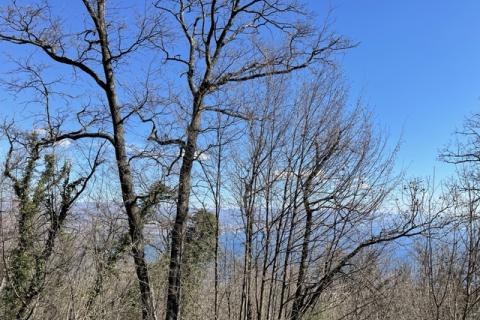 Veprinac, Opatija - Okolica, 12.075m2