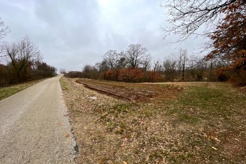 Domijanići, Žminj, 1.564m2