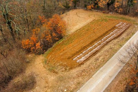 Domijanići, Žminj, 1.564m2