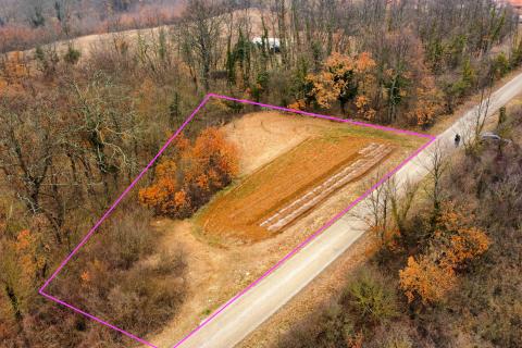 Domijanići, Žminj, 1.564m2