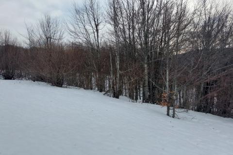 Begovo Razdolje, teren 15000m2 za gradnju hotela