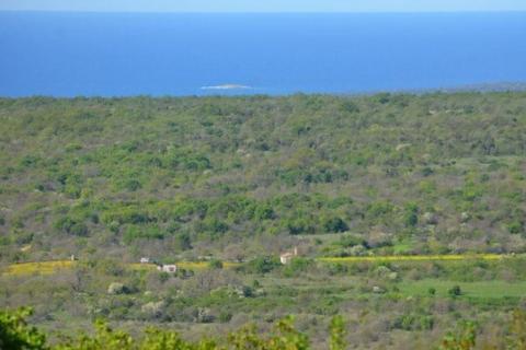 Istra, Bale veliko poljoprivredno zemljište