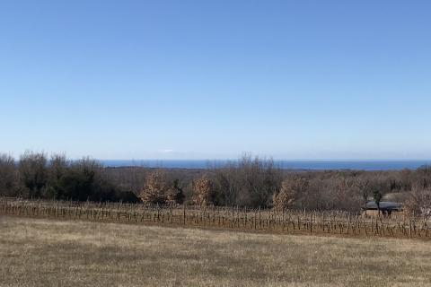 Vi&scaron;njan - građevinski teren sa pogledom na more