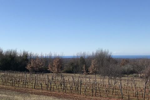 Vi&scaron;njan - građevinski teren sa pogledom na more