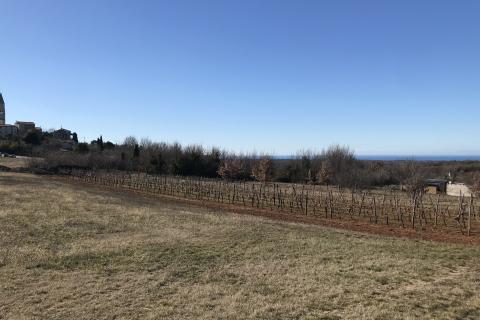 Vi&scaron;njan - građevinski teren sa pogledom na more