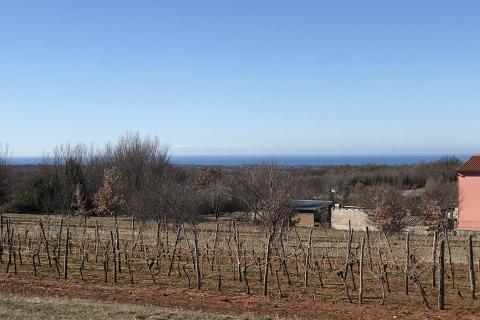 Vi&scaron;njan - građevinski teren sa pogledom na more