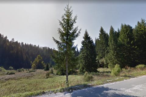 Terreno edificabile Crni Lug, Delnice, 57.198m2