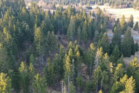 Terreno edificabile Crni Lug, Delnice, 57.198m2