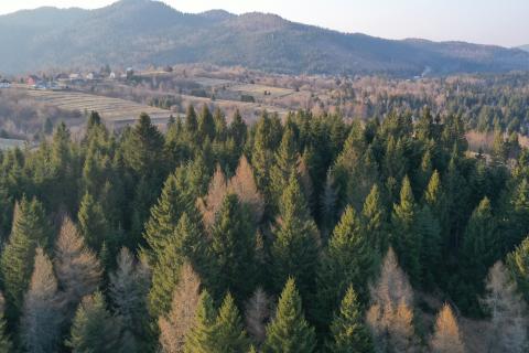 Terreno edificabile Crni Lug, Delnice, 57.198m2