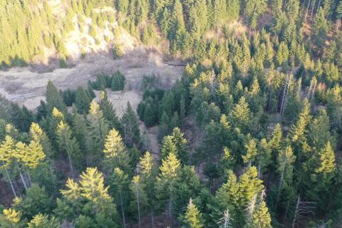 Terreno edificabile Crni Lug, Delnice, 57.198m2