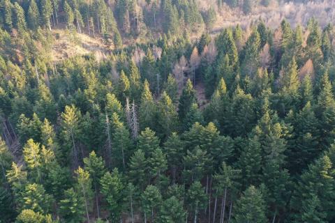 Terreno edificabile Crni Lug, Delnice, 57.198m2