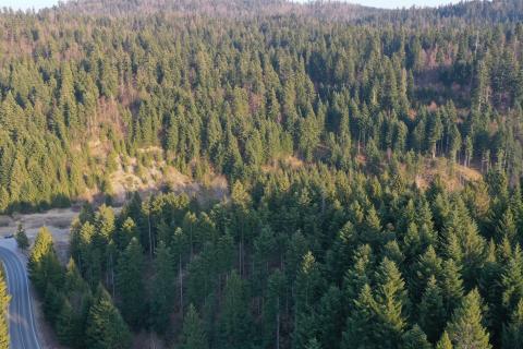 Terreno edificabile Crni Lug, Delnice, 57.198m2