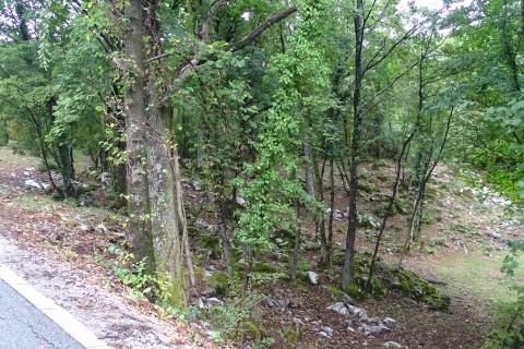 Building plot Veprinac, Opatija - Okolica, 2.022m2